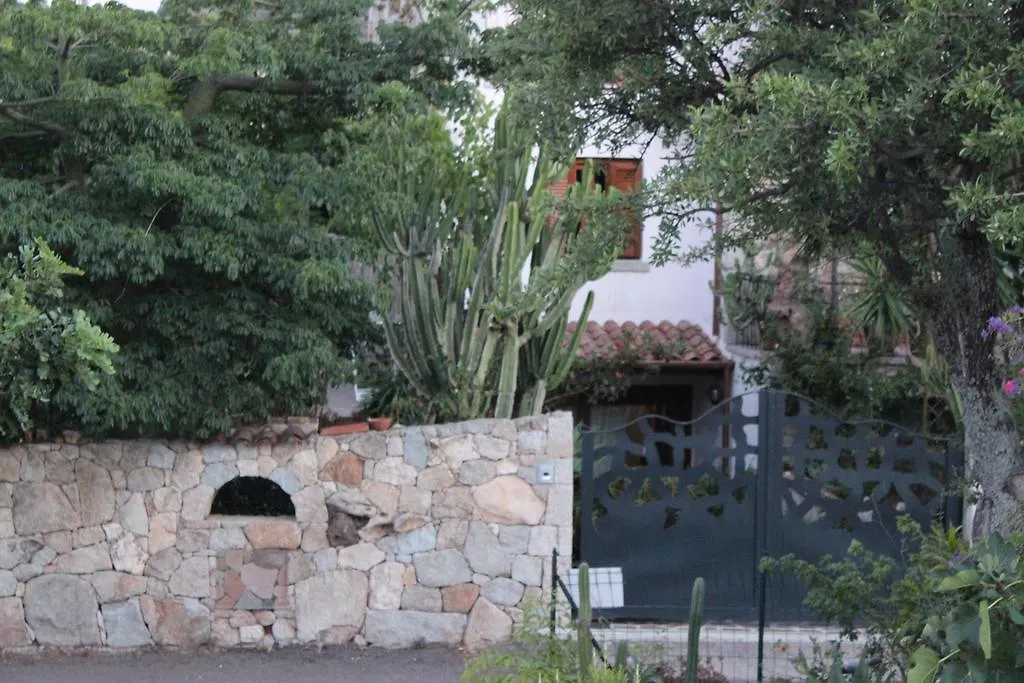 Bed & Breakfast B&B Chorisia San Teodoro
