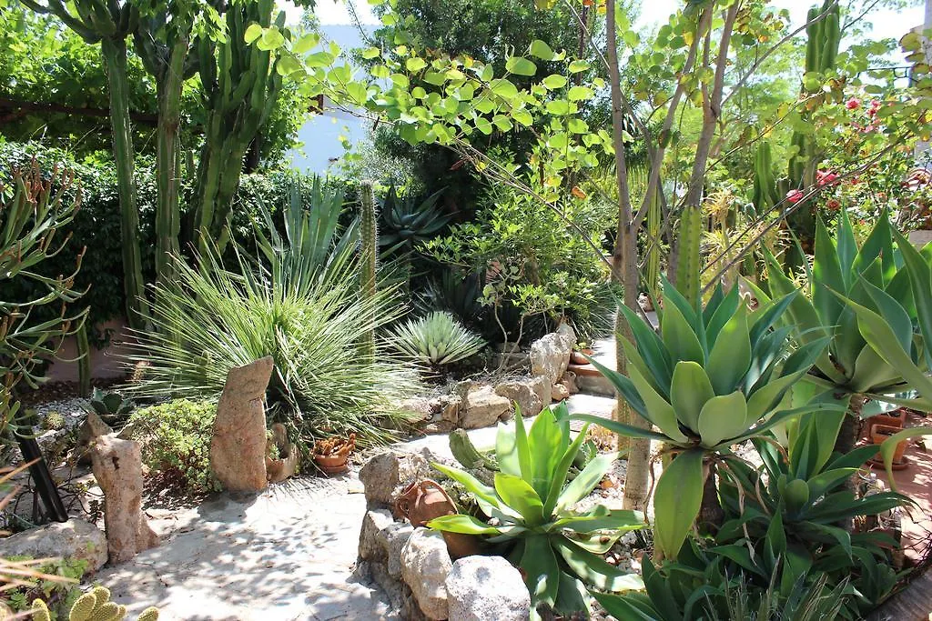 B&B Chorisia San Teodoro  Bed & Breakfast